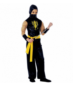Power Ninja kostume