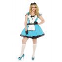 Storybook Alice kostume