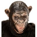 Chimpanse maske