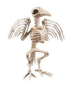 Krage skelet 32 cm