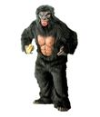 Gorilla kostume
