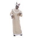 Bedstemor Ulv kostume