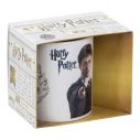 Harry Potter krus i gaveæske.