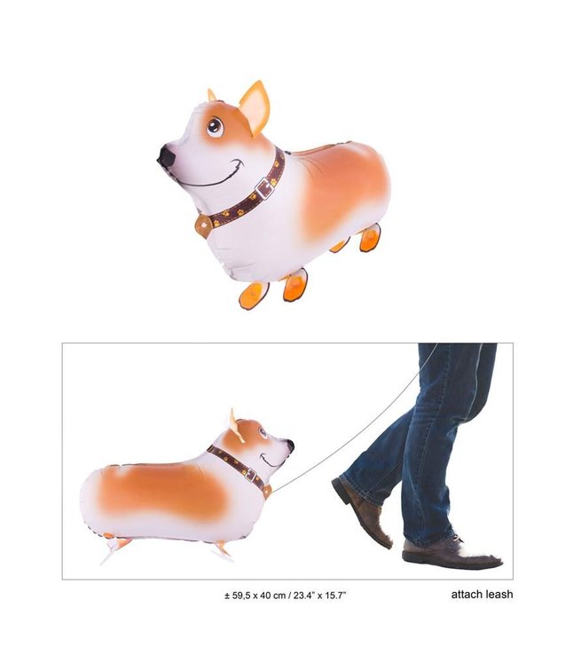 Folieballon af gående Corgi hund i snor