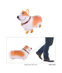 Folieballon af gående Corgi hund i snor