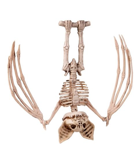 Uhyggeligt hængende flagermus skelet til halloween.