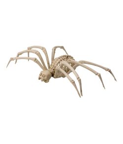 Uhyggeligt edderkop skelet til halloween.