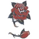 Flot kunstig tatovering af rød rose.