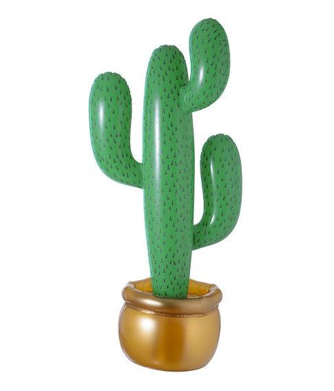 Oppustelig kaktus.