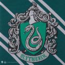 Flot Slytherin slips til børn med vævet emblem.