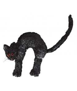 Arrig sort kat til halloween med pels.
