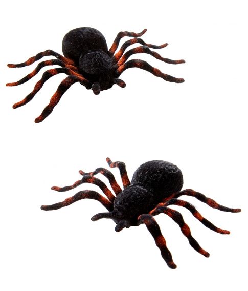 Edderkopper, 10 cm