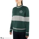 Slytherin Quidditch sweater.