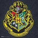 Hogwarts flag.