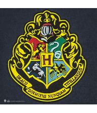 Hogwarts flag.