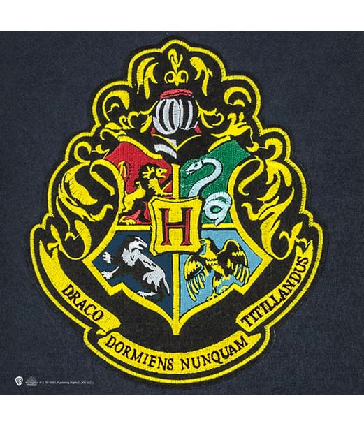 Hogwarts flag.