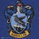 Ravenclaw flag.