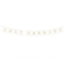 Flot Just Married banner 1,55 m.