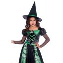 Flot sort og grøn hekse kostume med edderkop detaljer. 
