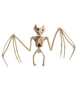 Flsgermus skelet 30x16 cm.