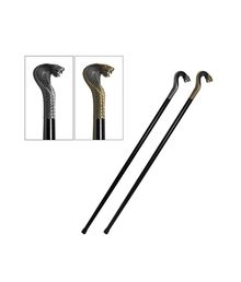 Stok med slangehoved