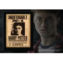 Harry Potter Undesirable No 1 billede