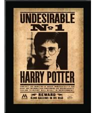 Harry Potter Undesirable No 1 billede