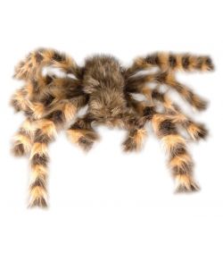 Edderkop, 65 cm
