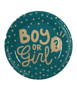 BOY OR GIRL Paptallerkner