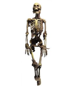 Skelet med lys 100 cm