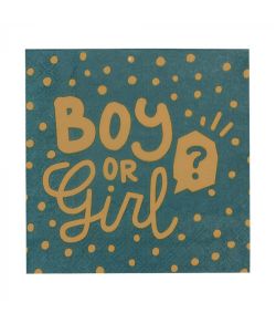 Boy or girl servietter 33x33