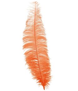 Orange strudsefjer 40 cm, 12 stk