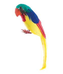 Papegøje, 30 cm