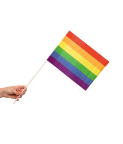 Regnbue flag på pind 20x30 cm