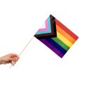 LGBTQ+ flag på pind 20x30 cm