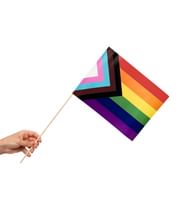 LGBTQ+ flag på pind 20x30 cm