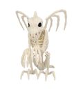 Gargoil skelet 34x18x23 cm