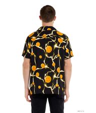 Dragon Ball skjorte