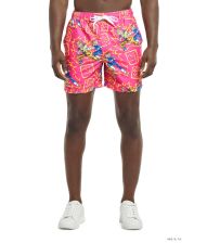 Dragon Ball Z sommersæt