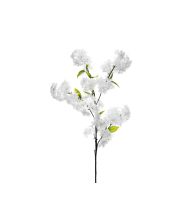 Kirsebærgren med blomst, 1 stk