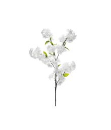 Kirsebærgren med blomst, 1 stk
