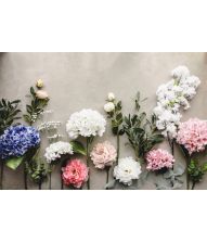 Kirsebærgren med blomst, 1 stk