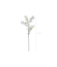 Kirsebærgren med blomst, 1 stk