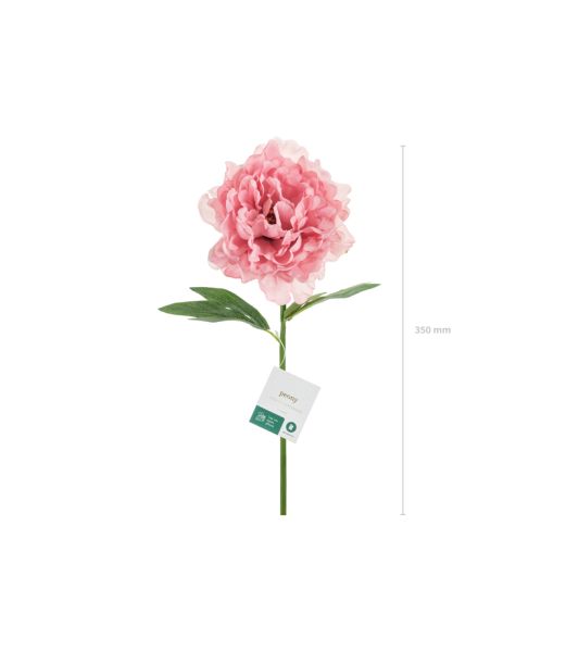 Rosa Bonderose, 1 stk