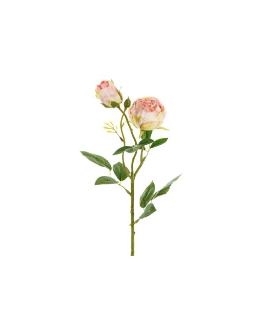 Lys rosa rose, 1 stk