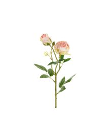 Lys rosa rose, 1 stk