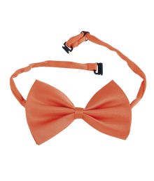 Orange butterfly
