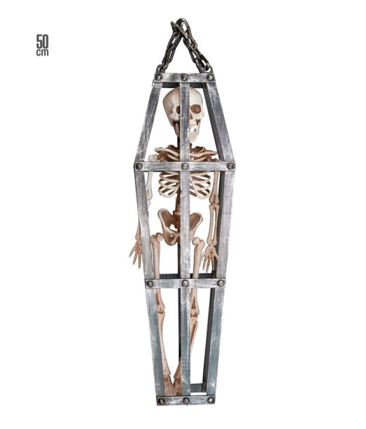 Skelet i bur, 50 cm