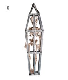 Skelet i bur, 50 cm
