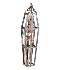 Skelet i bur, 50 cm